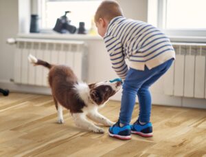 Pet and kid friendly hardwood flooring by Shaw